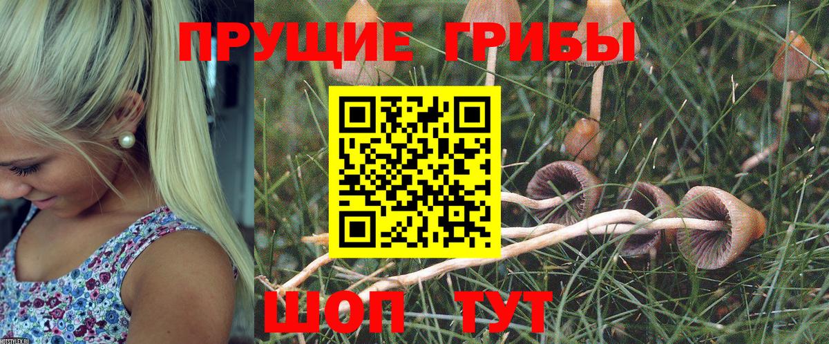Псилоцибиновые грибы ЛСД Моршанск